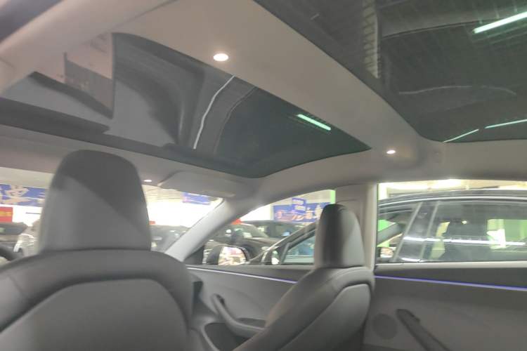 Used Tesla Model 3 2023 Rear-Wheel-Drive Version Headliner