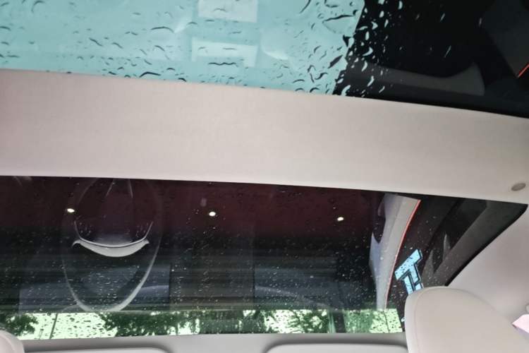 Used Tesla Model 3 2023 Rear-Wheel-Drive Version Headliner