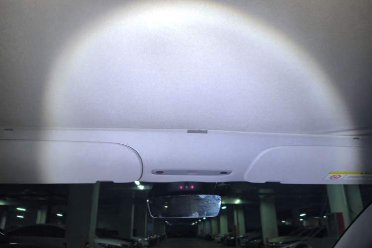Used Tesla Model 3 2023 Rear-Wheel-Drive Version Headliner
