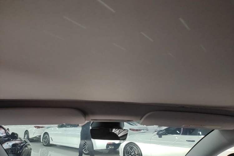 Used Tesla Model 3 2023 Rear-Wheel-Drive Version Headliner