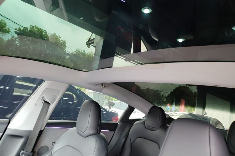 Used Tesla Model 3 2023 Rear-Wheel-Drive Version Headliner