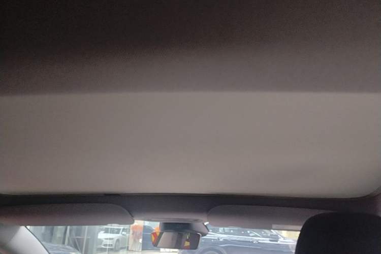 Used Tesla Model 3 2023 Rear-Wheel-Drive Version Headliner