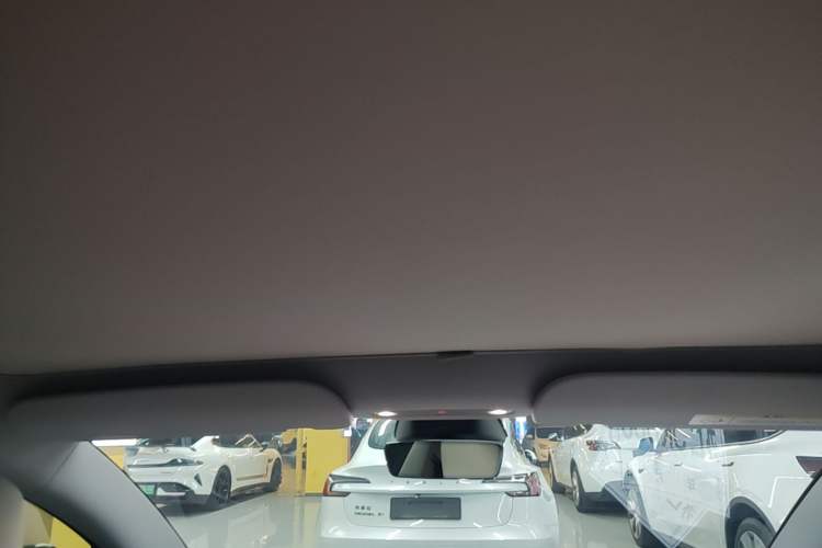 Used Tesla Model 3 2023 Rear-Wheel-Drive Version Headliner