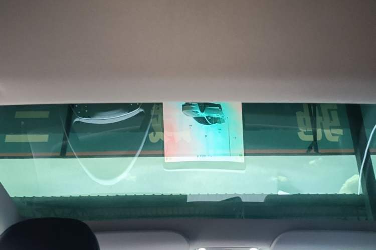 Used Tesla Model 3 2023 Rear-Wheel-Drive Version Headliner