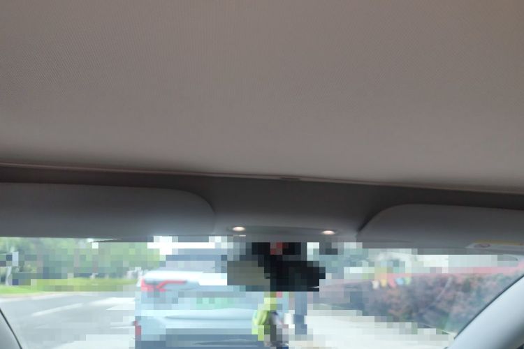 Used Tesla Model 3 2023 Rear-Wheel-Drive Version Headliner