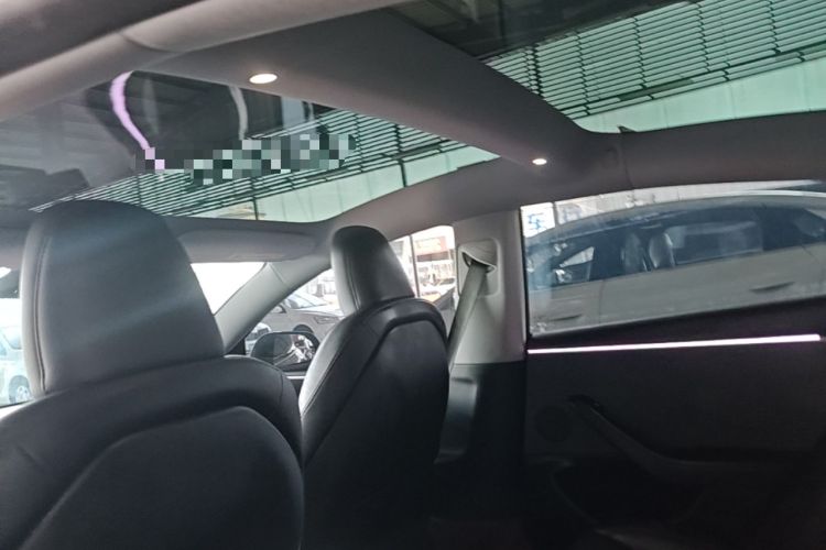 Used Tesla Model 3 2023 Rear-Wheel-Drive Version Headliner