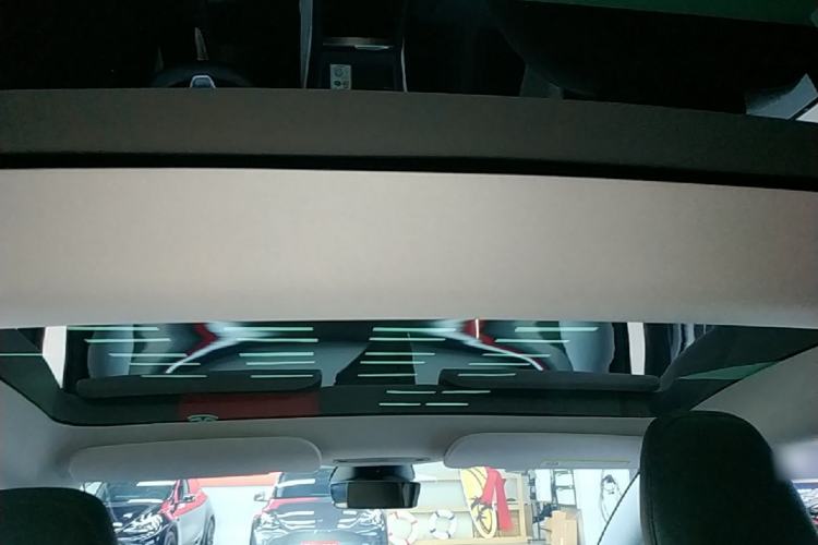 Used Tesla Model 3 2023 Rear-Wheel-Drive Version Headliner