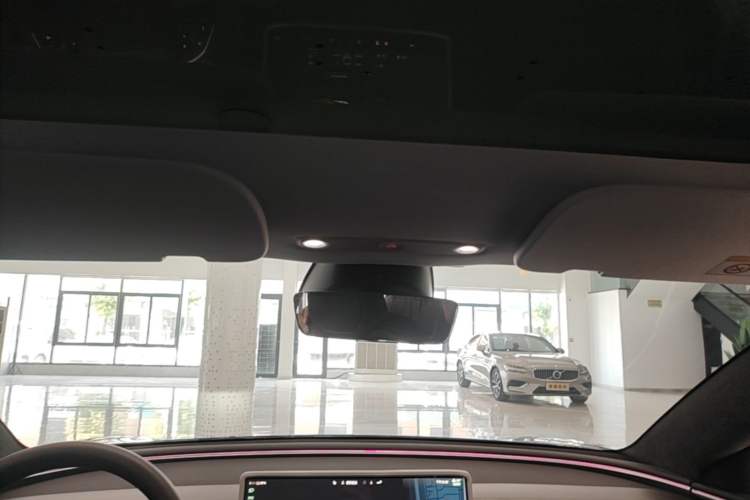 Used Tesla Model 3 2023 Rear-Wheel-Drive Version Headliner