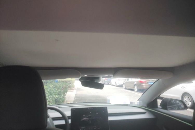 Used Tesla Model 3 2023 Rear-Wheel-Drive Version Headliner