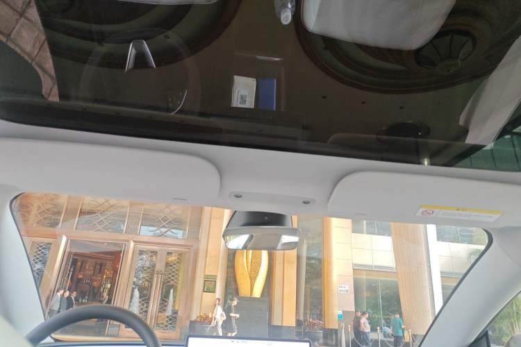 Used Tesla Model 3 2023 Rear-Wheel-Drive Version Headliner
