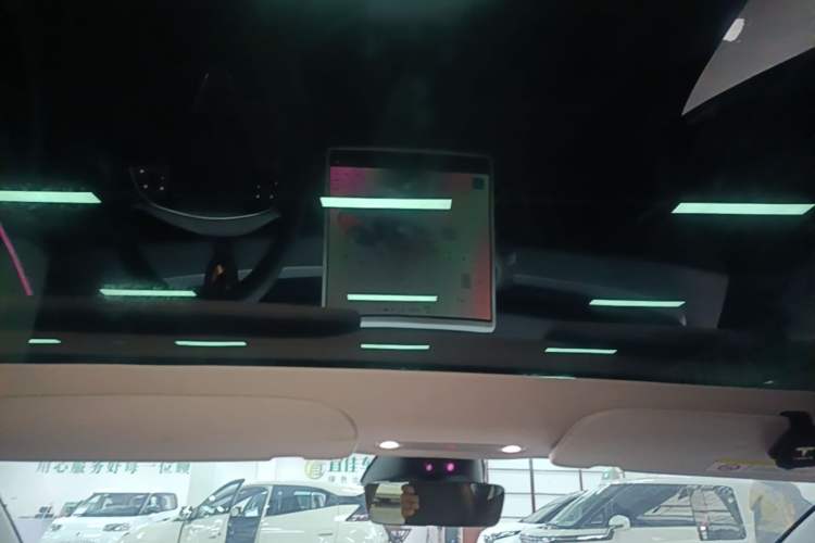 Used Tesla Model 3 2023 Rear-Wheel-Drive Version Headliner