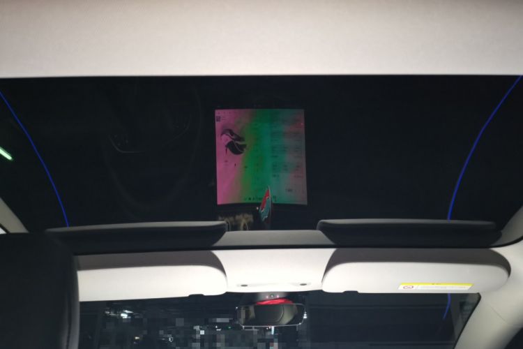 Used Tesla Model 3 2023 Rear-Wheel-Drive Version Headliner