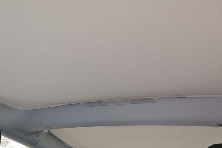 Used Tesla Model 3 2023 Rear-Wheel-Drive Version Headliner