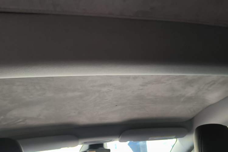 Used Tesla Model 3 2023 Rear-Wheel-Drive Version Headliner