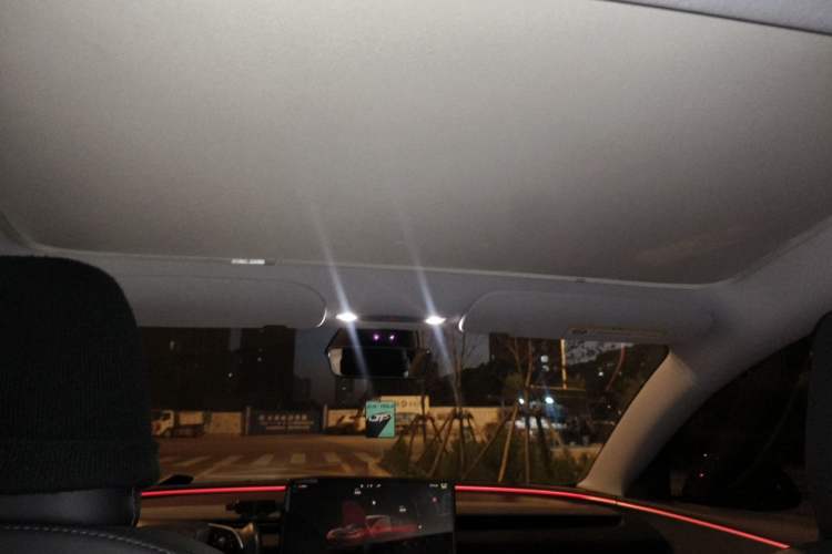 Used Tesla Model 3 2023 Long-Range All-Wheel-Drive Version Headliner
