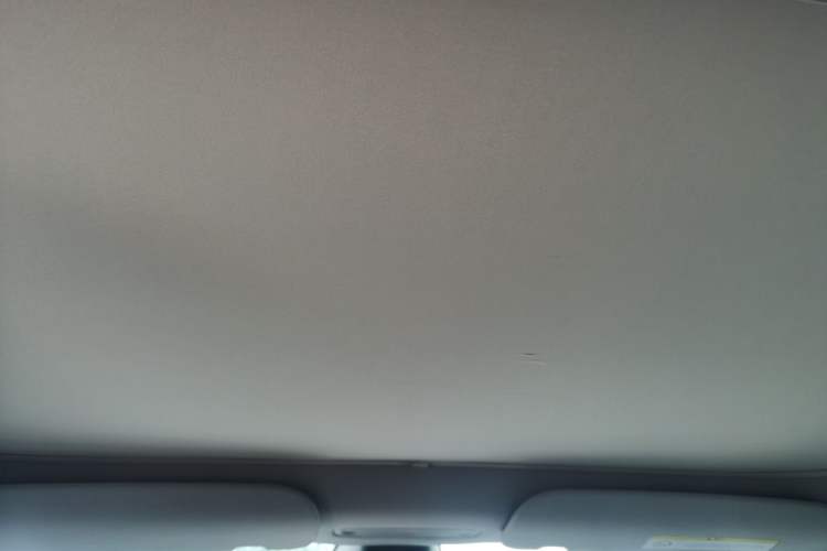 Used Tesla Model 3 2023 Rear-Wheel-Drive Version Headliner