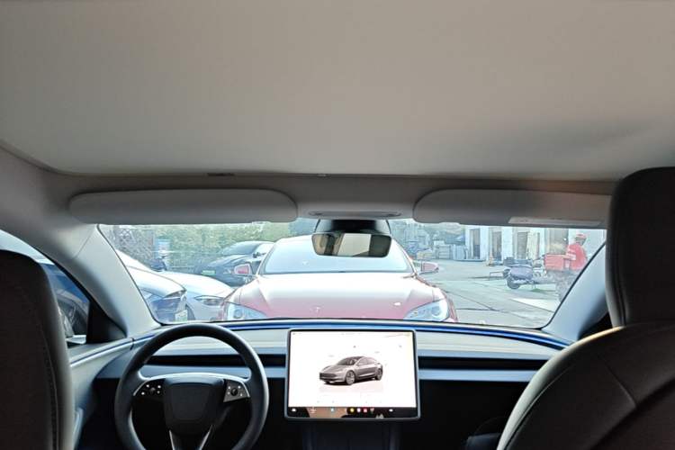 Used Tesla Model 3 2023 Rear-Wheel-Drive Version Headliner