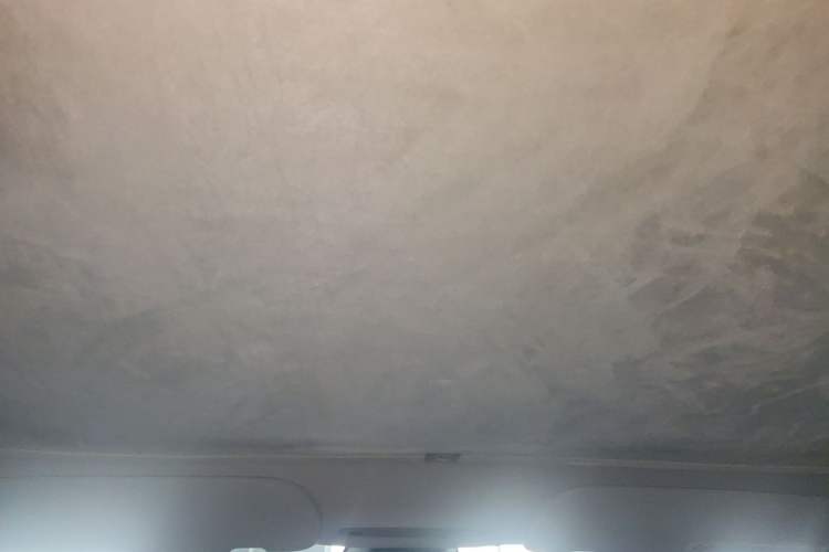 Used Tesla Model 3 2023 Rear-Wheel-Drive Version Headliner