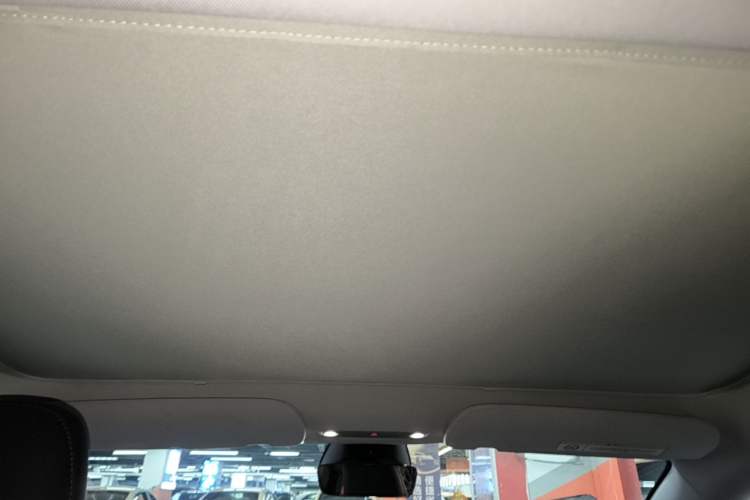 Used Tesla Model 3 2023 Long-Range All-Wheel-Drive Version Headliner