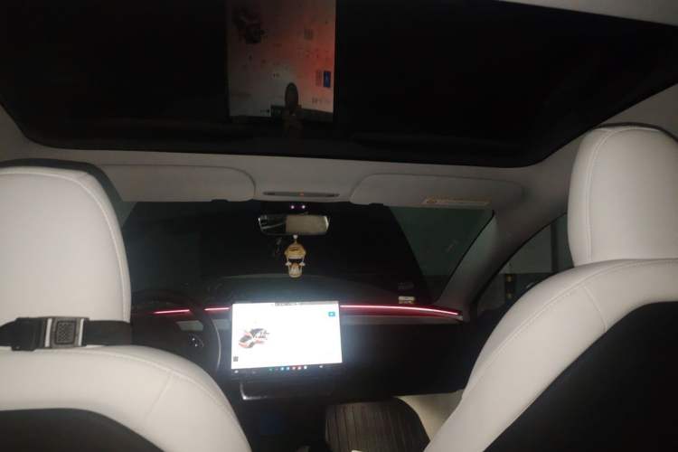 Used Tesla Model 3 2023 Long-Range All-Wheel-Drive Version Headliner