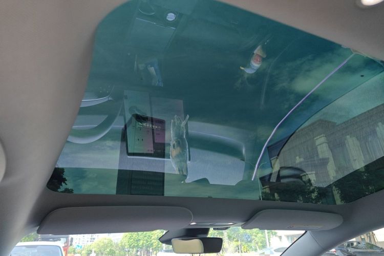 Used Tesla Model 3 2023 Long-Range All-Wheel-Drive Version Headliner