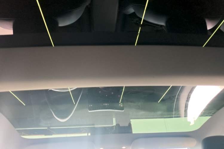 Used Tesla Model 3 2023 Rear-Wheel-Drive Version Headliner