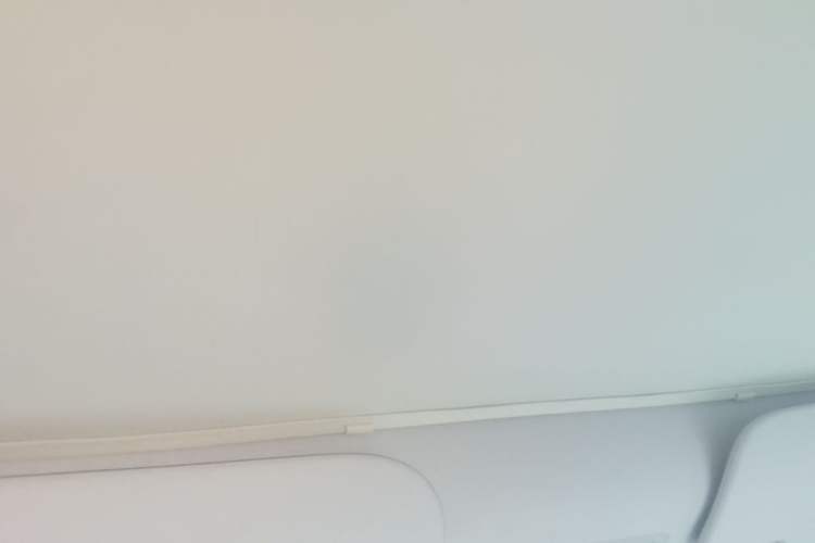 Used Tesla Model 3 2023 Long-Range All-Wheel-Drive Version Headliner