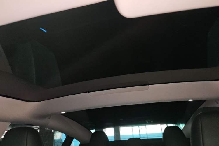 Used Tesla Model 3 2023 Rear-Wheel-Drive Version Headliner