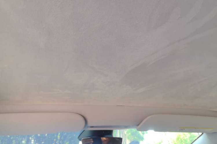 Used Tesla Model 3 2023 Rear-Wheel-Drive Version Headliner