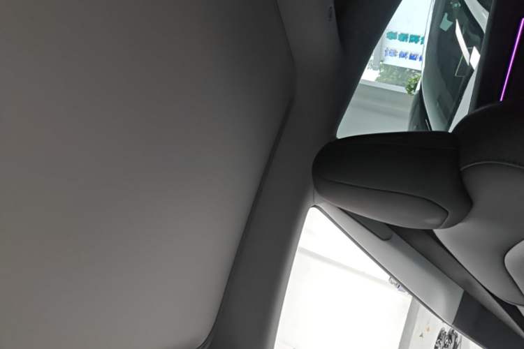 Used Tesla Model 3 2023 Rear-Wheel-Drive Version Headliner