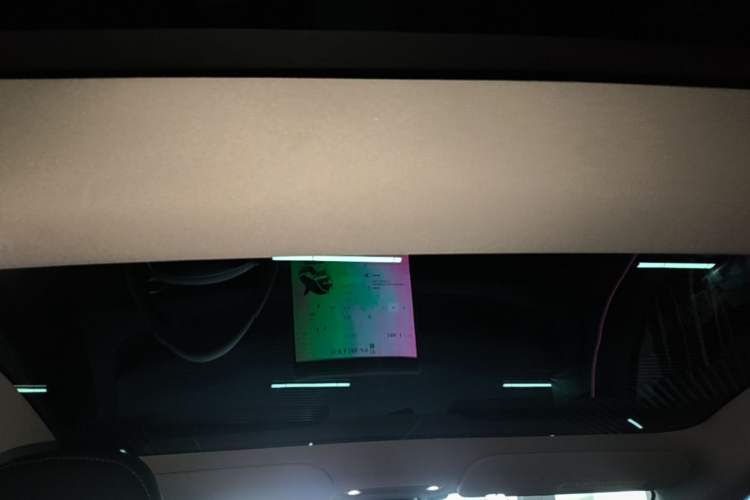 Used Tesla Model 3 2023 Rear-Wheel-Drive Version Headliner