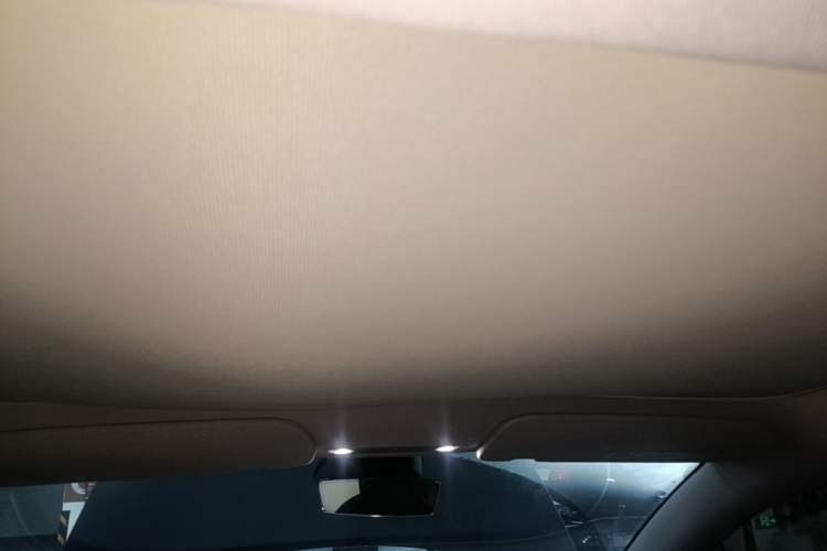 Used Tesla Model 3 2023 Rear-Wheel-Drive Version Headliner