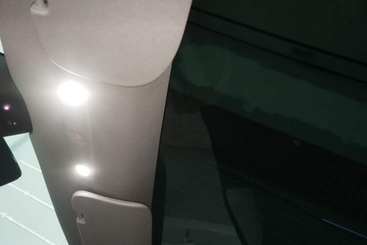 Used Tesla Model 3 2023 Rear-Wheel-Drive Version Headliner