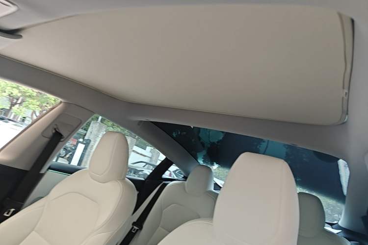 Used Tesla Model 3 2023 Rear-Wheel-Drive Version Headliner