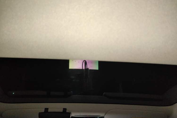 Used Tesla Model 3 2023 Rear-Wheel-Drive Version Headliner