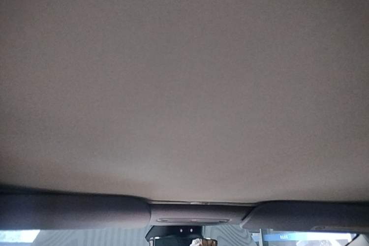 Used Tesla Model 3 2023 Rear-Wheel-Drive Version Headliner