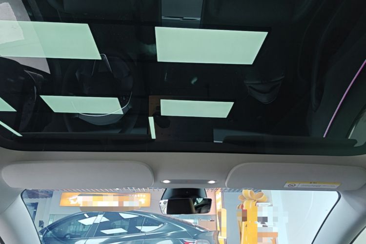Used Tesla Model 3 2023 Rear-Wheel-Drive Version Headliner