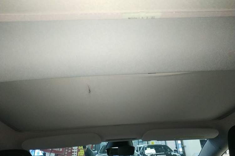 Used Tesla Model 3 2023 Rear-Wheel-Drive Version Headliner