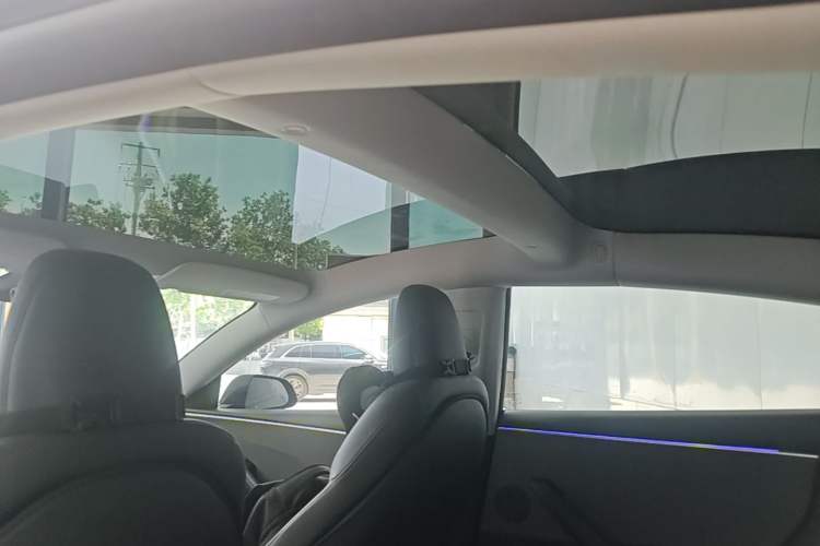 Used Tesla Model 3 2023 Rear-Wheel-Drive Version Headliner