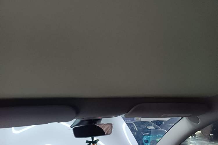 Used Tesla Model 3 2023 Rear-Wheel-Drive Version Headliner