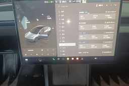 Thumbnail 15