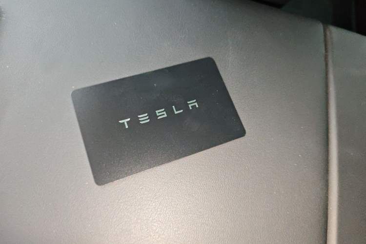 Used Tesla Model 3 2023 Rear-Wheel-Drive Version Interior 1