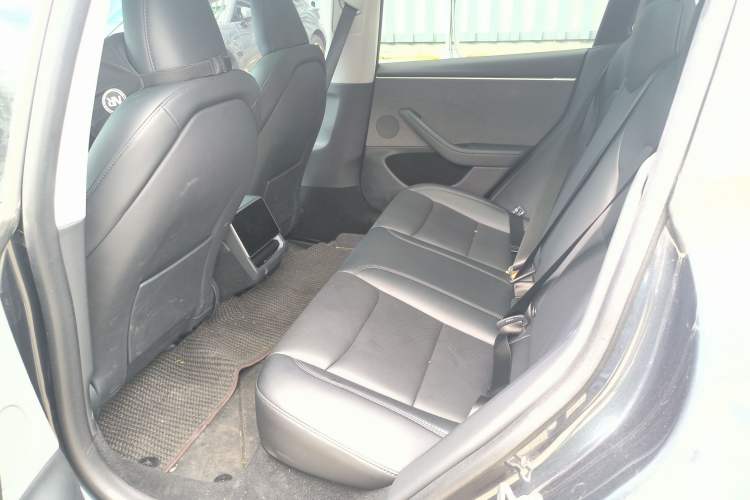 Used Tesla Model 3 2023 Rear-Wheel-Drive Version Interior 1