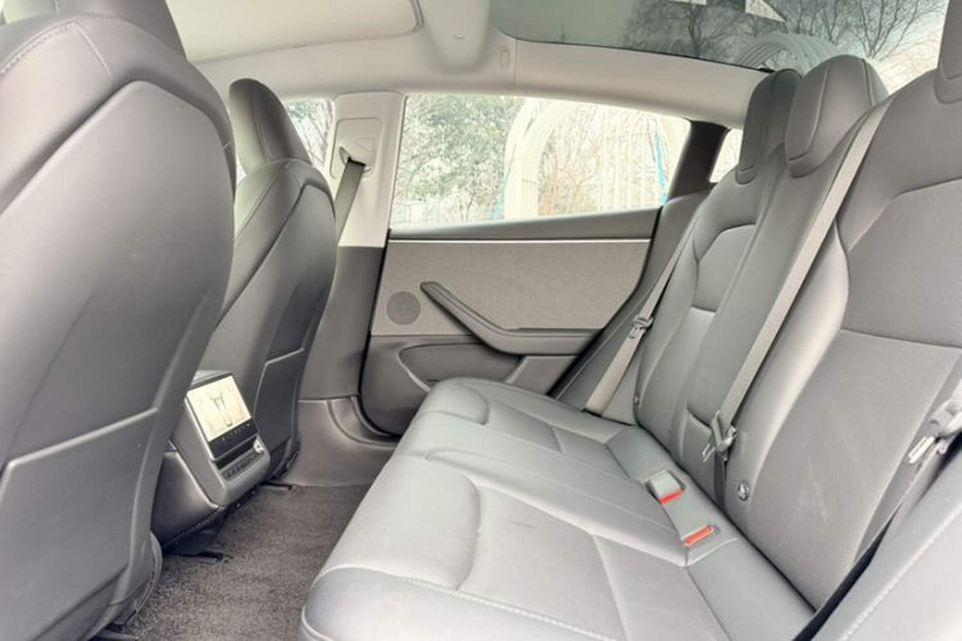 Used Tesla Model 3 2023 Rear-Wheel-Drive Version Interior 5