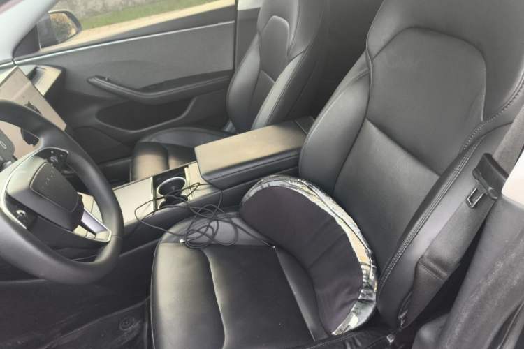 Used Tesla Model 3 2023 Rear-Wheel-Drive Version Left Front Seat