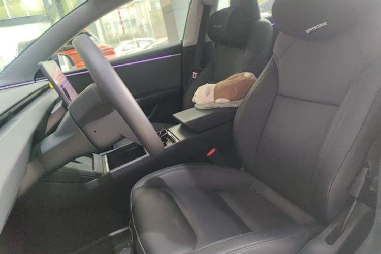 Used Tesla Model 3 2023 Rear-Wheel-Drive Version Left Front Seat