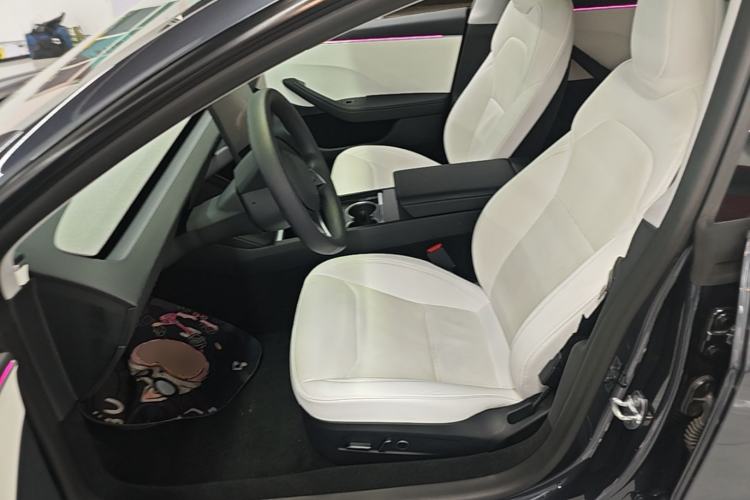 Used Tesla Model 3 2023 Long-Range All-Wheel-Drive Version Left Front Seat