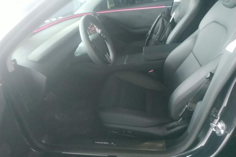 Used Tesla Model 3 2023 Long-Range All-Wheel-Drive Version Left Front Seat
