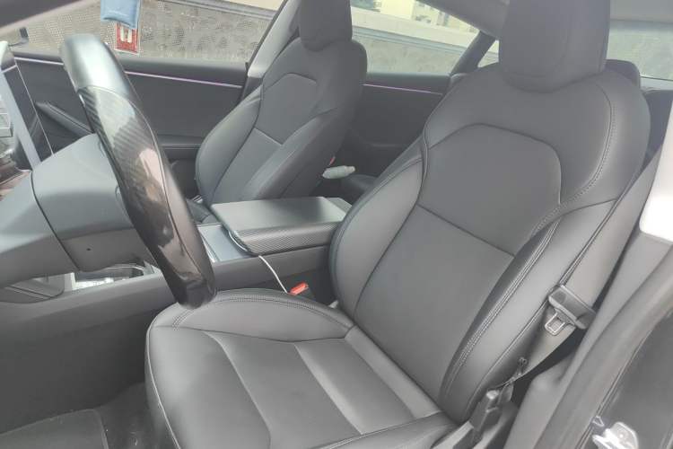 Used Tesla Model 3 2023 Long-Range All-Wheel-Drive Version Left Front Seat