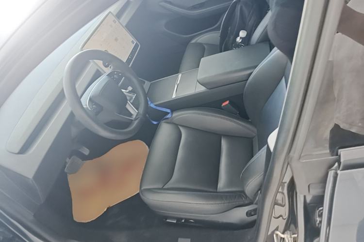 Used Tesla Model 3 2023 Rear-Wheel-Drive Version Left Front Seat